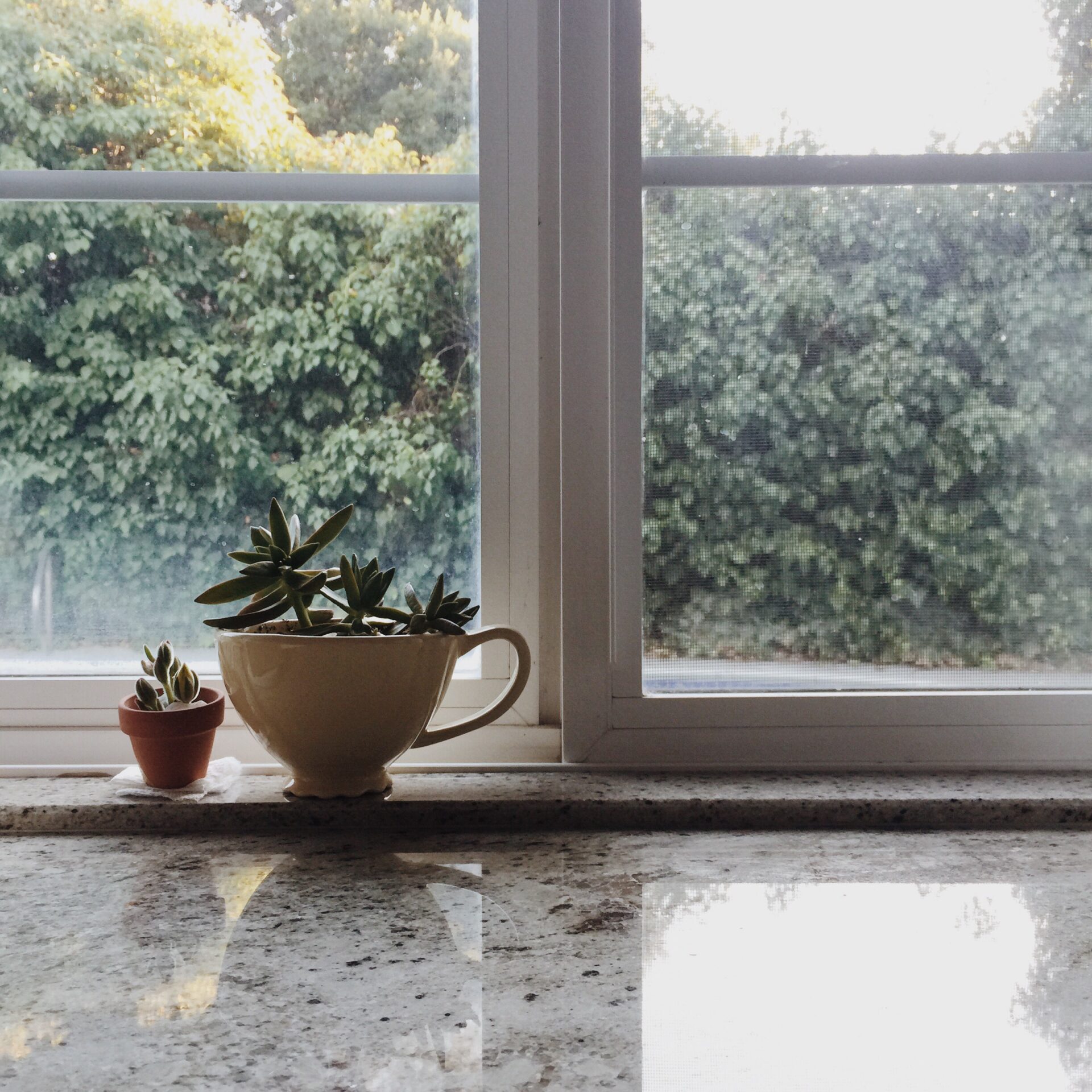 window relocation